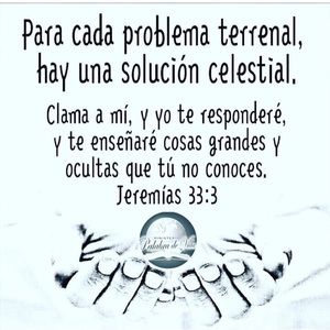 Meet your Posher, Yanellys